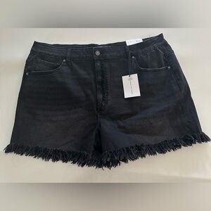ZENANA Womens 3X Plus Mid Rise Raw Frayed Hem Black Denim Shorts Distressed NEW